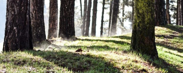 Hoe ik vol in mijn valkuilen trap